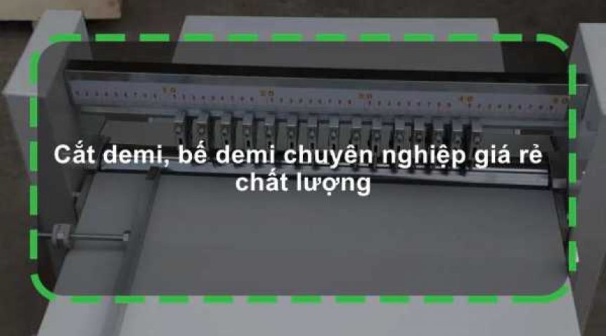 Cắt demi, bế demi chuyên nghiệp giá rẻ chất lượng
