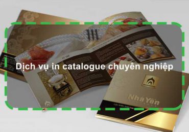 Dịch vụ in catalogue chuyên nghiệp