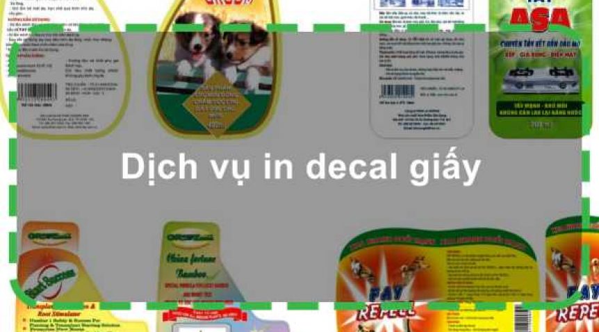 Dịch vụ in decal giấy