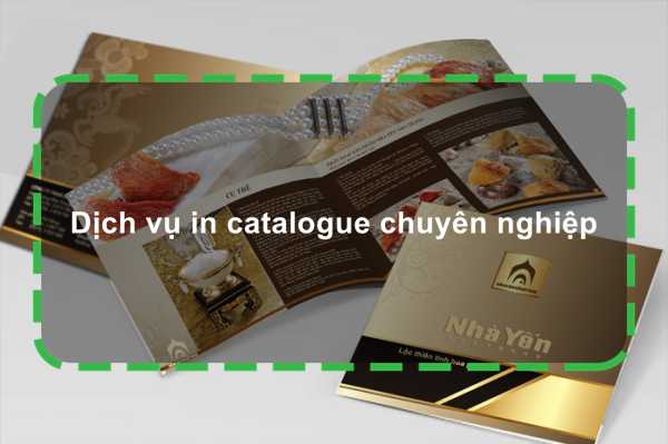 Dịch vụ in catalogue chuyên nghiệp