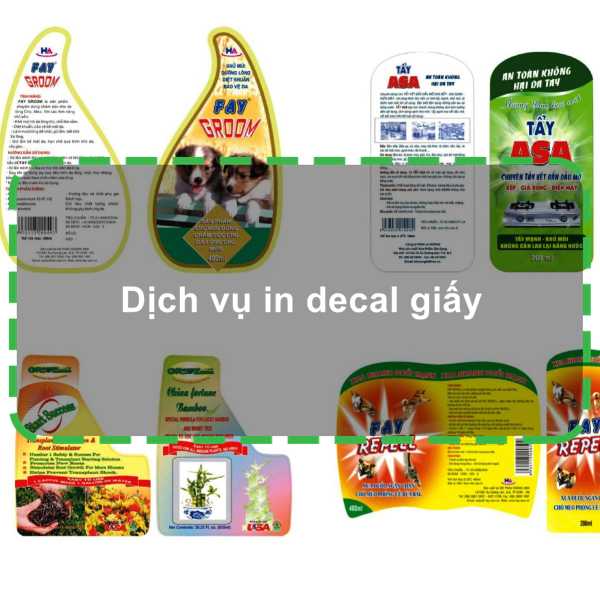 Dịch vụ in decal giấy